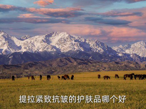 提拉紧致抗皱的护肤品哪个好