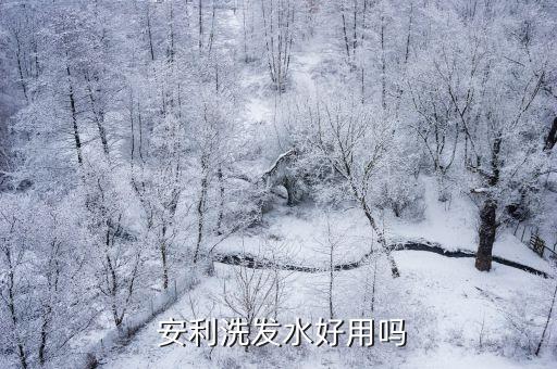  安利洗发水好用吗