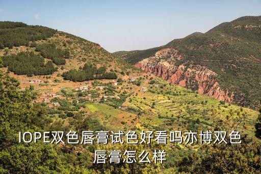 IOPE双色唇膏试色好看吗亦博双色唇膏怎么样