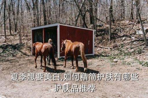  夏季想要美白,如何精简护肤有哪些 护肤品推荐