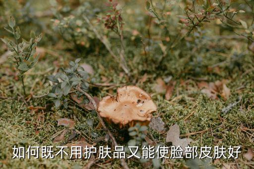 如何既不用护肤品又能使脸部皮肤好