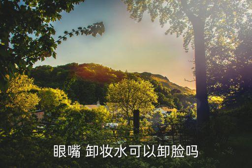 眼嘴 卸妆水可以卸脸吗