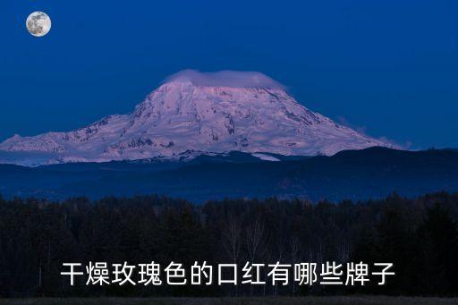 干燥玫瑰色的口红有哪些牌子