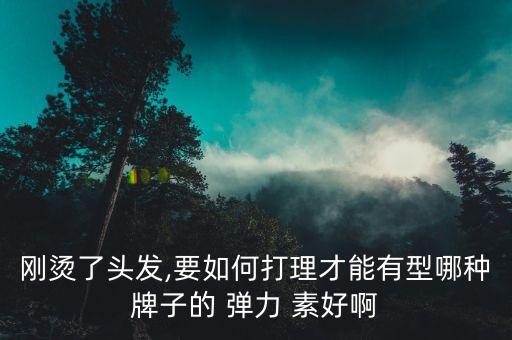 刚烫了头发,要如何打理才能有型哪种牌子的 弹力 素好啊