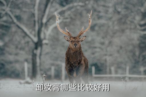 卸妆膏哪些比较好用