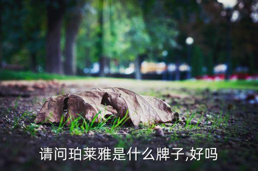 请问珀莱雅是什么牌子,好吗