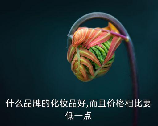 什么品牌的化妆品好,而且价格相比要低一点