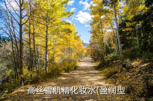 高丝雪肌精化妆水(盈润型