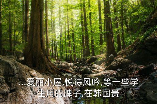...爱丽小屋,悦诗风吟,等一些学生用的牌子,在韩国贵