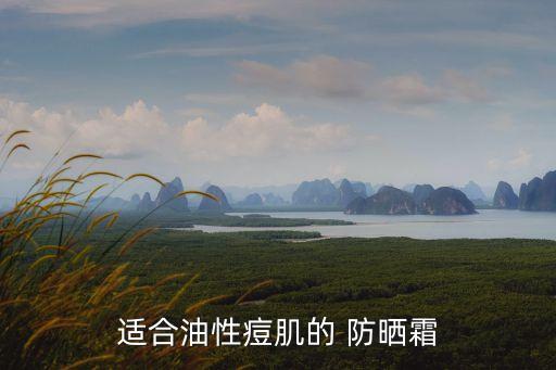 适合油性痘肌的 防晒霜