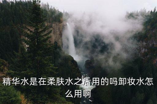 精华水是在柔肤水之后用的吗卸妆水怎么用啊