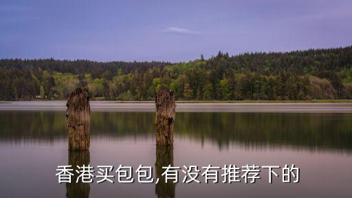  香港买包包,有没有推荐下的