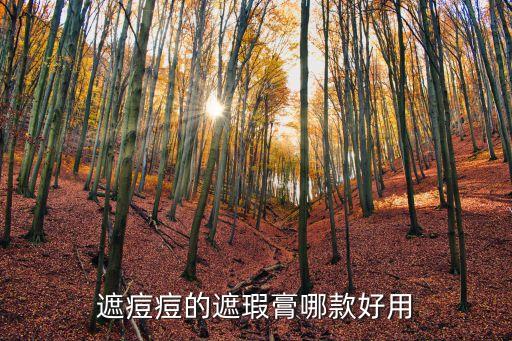 美宝莲修颜笔哪个好用吗,关于美宝莲护肤品和化妆品