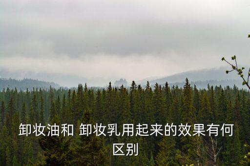 卸妆油和卸妆乳有什么差别