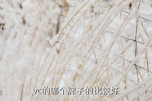 vc的哪个牌子的比较好