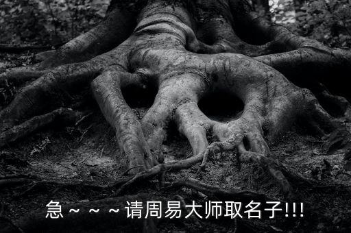 急～～～请周易大师取名子!!!