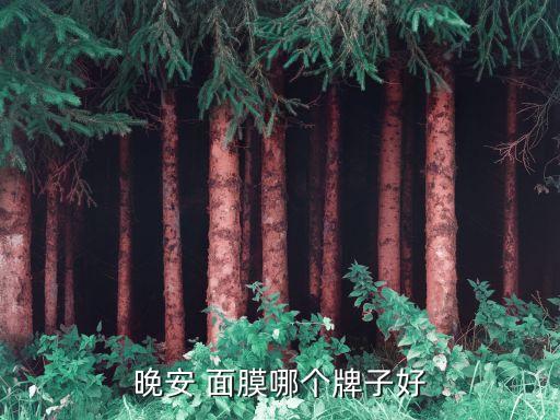 睡眠面膜哪些牌子好用,睡眠免洗面膜哪款好