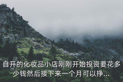 自开的化妆品小店刚刚开始投资要花多少钱然后接下来一个月可以挣...