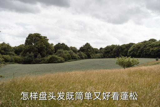 怎样盘头发既简单又好看蓬松