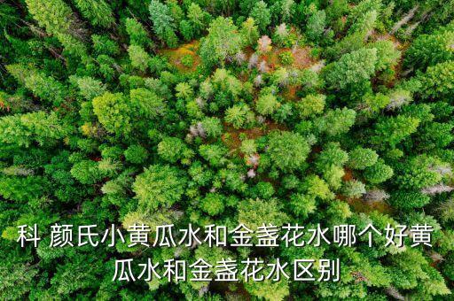 科 颜氏小黄瓜水和金盏花水哪个好黄瓜水和金盏花水区别