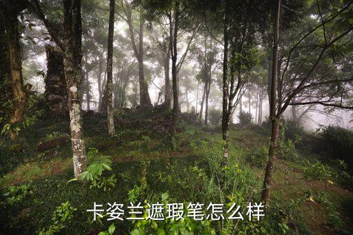 遮瑕笔哪个厉害,全球10大遮瑕