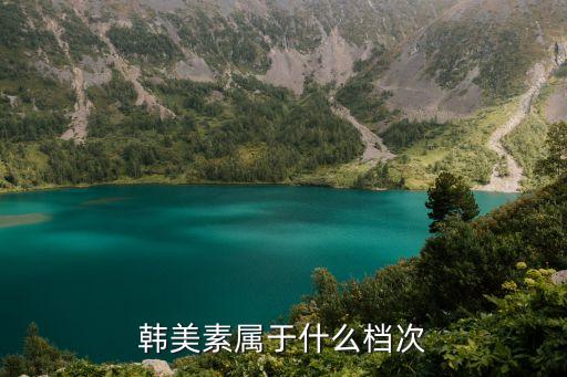 韩美素属于什么档次
