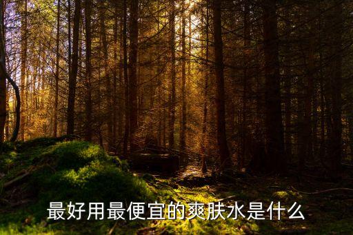 最好用最便宜的爽肤水是什么