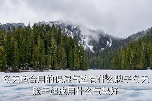 冬天适合用的保湿气垫有什么牌子冬天脸干起皮用什么气垫好