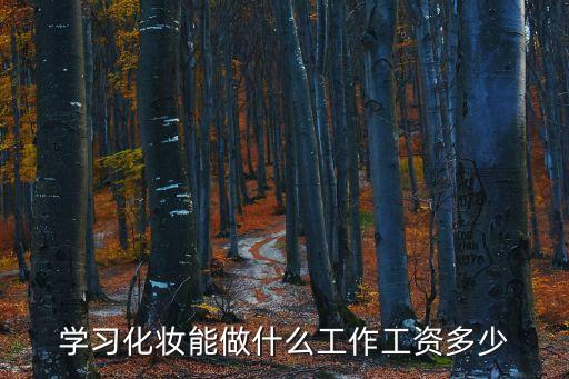 学习化妆能做什么工作工资多少