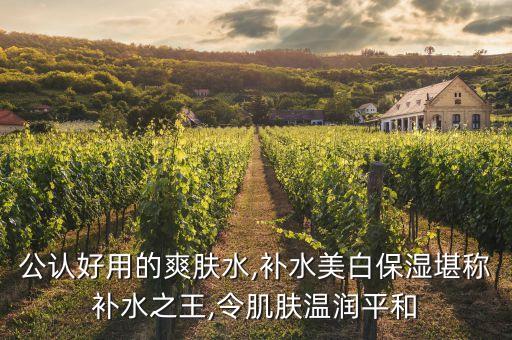 公认好用的爽肤水,补水美白保湿堪称补水之王,令肌肤温润平和