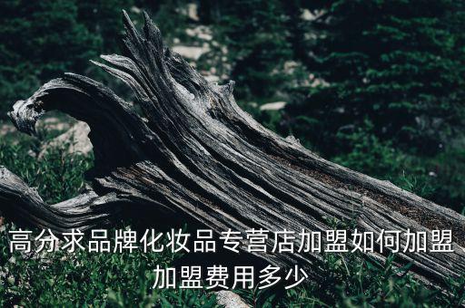 高分求品牌化妆品专营店加盟如何加盟加盟费用多少