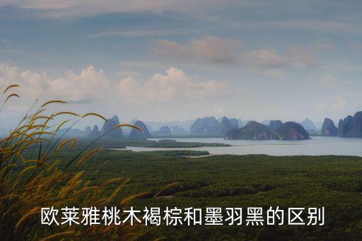  欧莱雅桃木褐棕和墨羽黑的区别