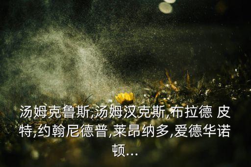 安安皮特怎么样,安安bb霜效果怎么样