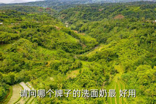 请问哪个牌子的洗面奶最 好用