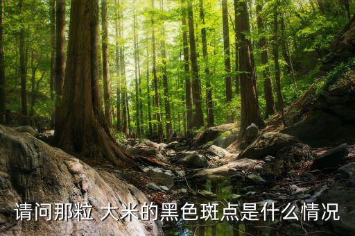 请问那粒 大米的黑色斑点是什么情况