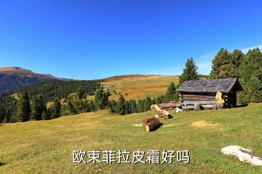 什么菲化妆品怎么样,肽雅丽菲化妆品怎么样