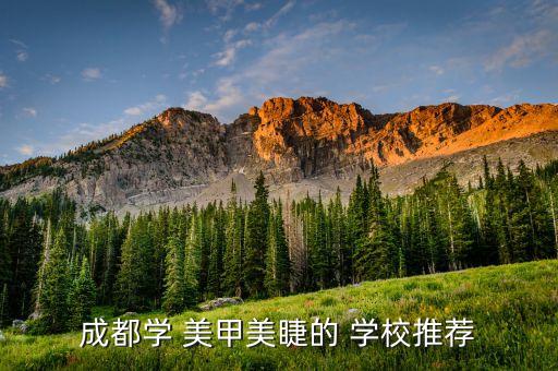 成都学 美甲美睫的 学校推荐