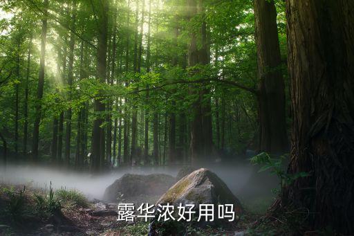露华浓好用吗