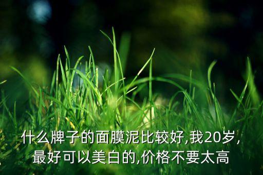 什么牌子的面膜泥比较好,我20岁,最好可以美白的,价格不要太高