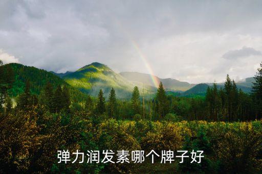 丝蕴的弹力素怎么样,梅涛弹力蛋白怎么样？