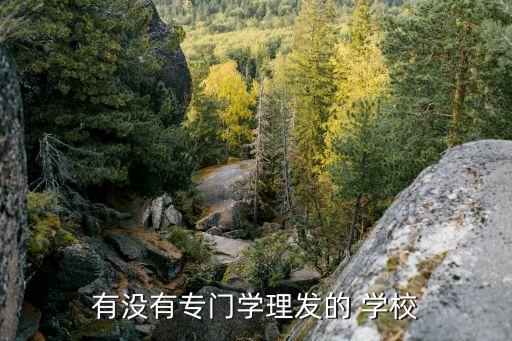 有没有专门学理发的 学校