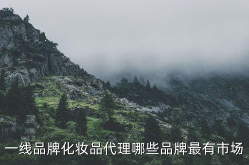 找代理化妆品什么牌子好,孕妇用什么牌子的化妆品好？