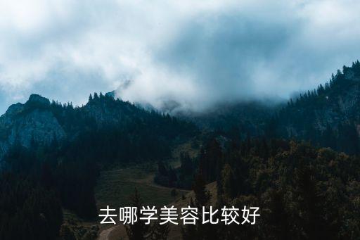 哪里有学美容的,学美容去哪学好?