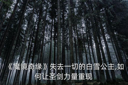 魔法奇缘怎么样,奇妙王国的神奇浪漫