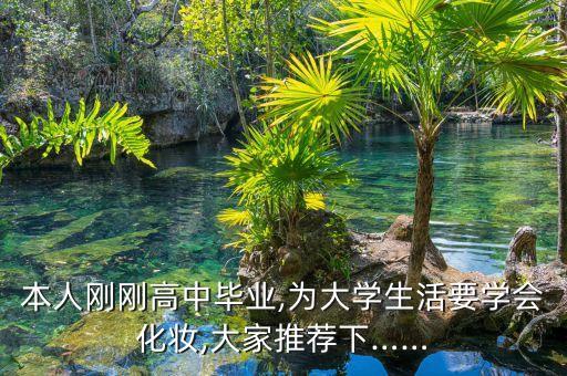 化妆品里美BB怎么样,李梅护肤品