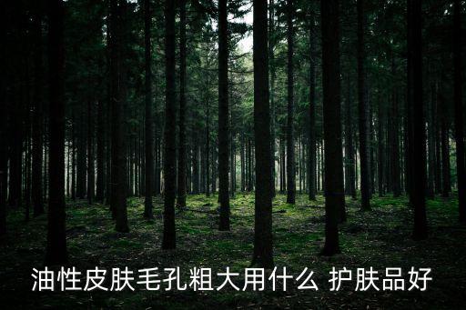油性皮肤毛孔粗大用什么 护肤品好
