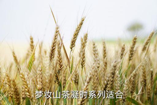  梦妆山茶凝时系列适合