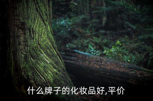 什么牌子的化妆品好,平价