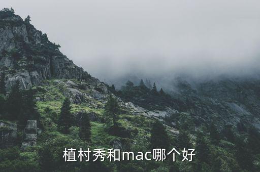 植村秀和mac哪个好