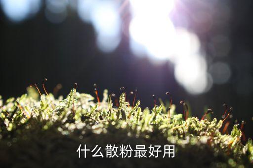 什么散粉最好用